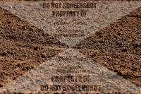 B82A0795