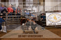 Saddle Bronc 2