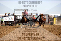 19&U Steer Wrestling