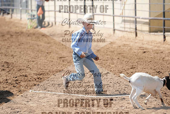 DSC02005