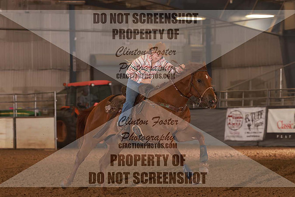 FIZZ1258