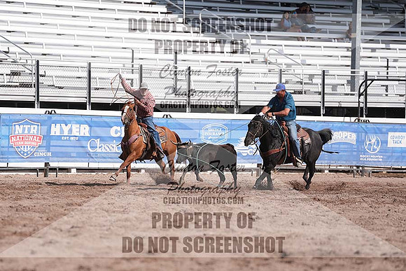 DSC01313