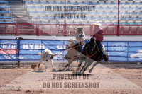DSC03254