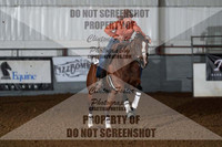 DSC00597