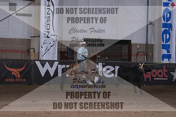 DSC03189