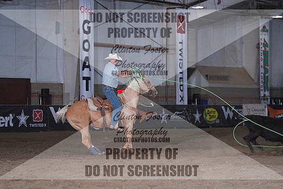 DSC03678