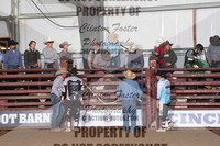 Bulls 1