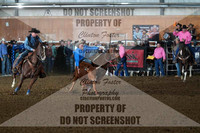 Steer Wrestling