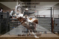 Broncs