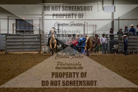 Steer Wrestling