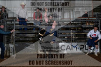 Bareback Steer 1
