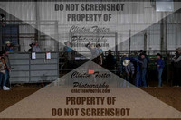 Tie Down Roping 1