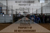 Tie Down Roping 2