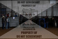 Tie Down Roping