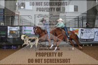 Team Roping