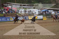 DSC07079