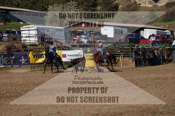 DSC07579