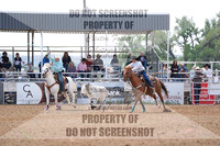 Team Roping