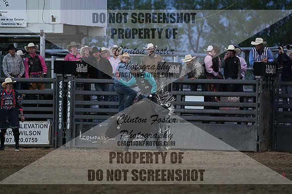 DSC04209