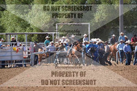 Breakaway Roping