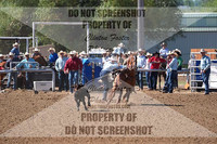 DSC04383