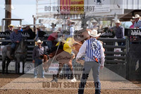 Broncs