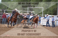 Steer Wrestling