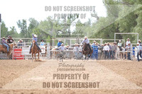 Team Roping