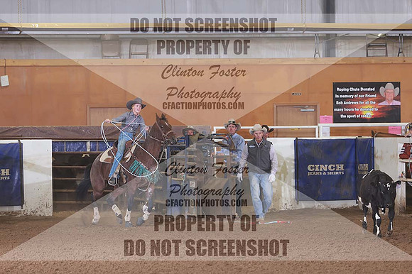 BADS0229