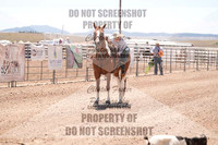 PEE WEE Goats