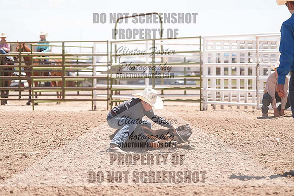 DSC03459