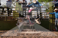 SR Steer Riding