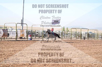 SR Steer Riding