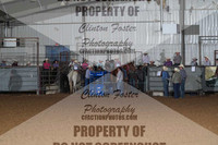team Roping #1