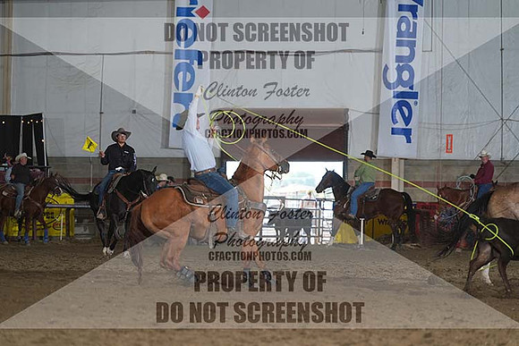 DSC08594