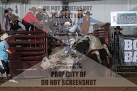 Bulls Rnd 2