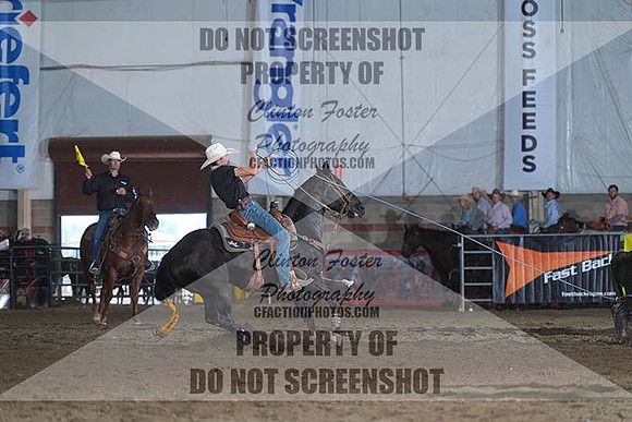 DSC03654
