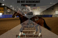 Reining R2