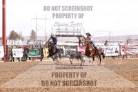 team roping