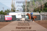 Team Roping