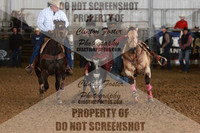 steer wrestling