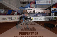 DSC04793