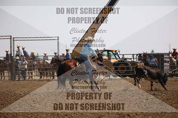 BY9A4211