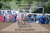 Tie Down Ropers