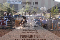 Tie Down Roping