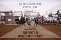 Bulldogging