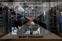 Saddle Bronc
