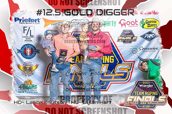 12.5 Gold Digger Awards