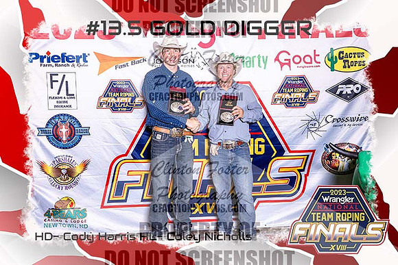#13.5 Gold Digger Awards