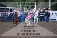 Steer Wrestling